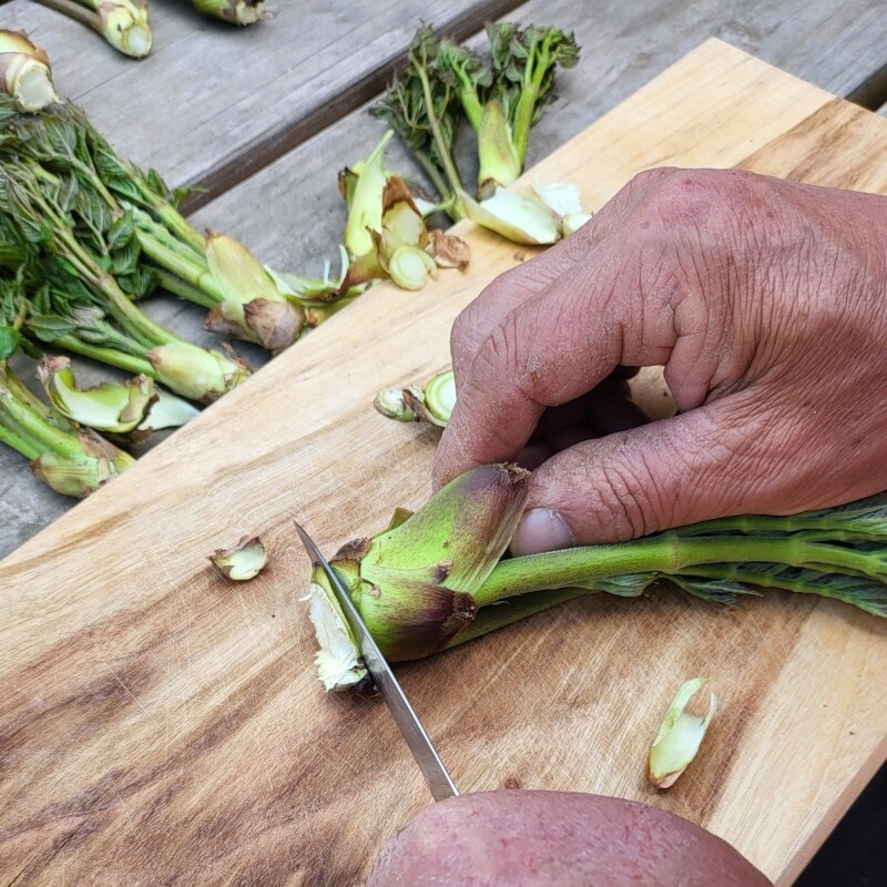 {홍천명품잣} 홍천잣, 홍천잣추천, 잣추천, 잣, 잣선물, 잣선물세트, 잣선물셋트